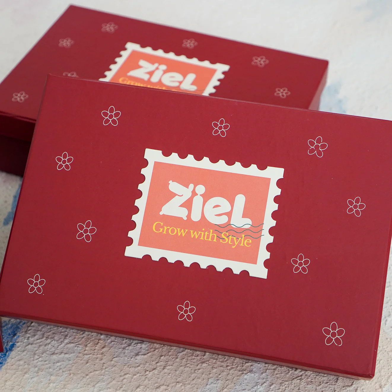 Premium Gift Box - Box Hampers - CHRISTMAS & CNY - Image 6